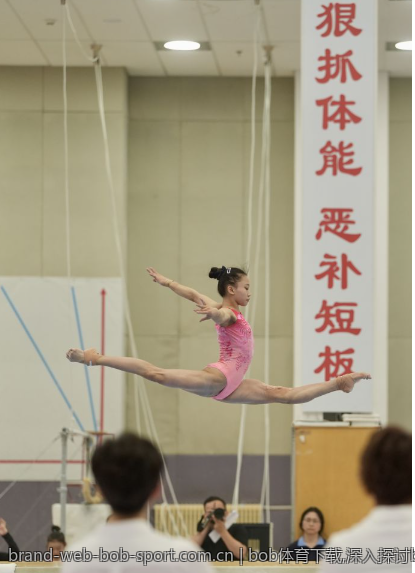 bob体育下载,深入探讨bob体育下载的功能与选项